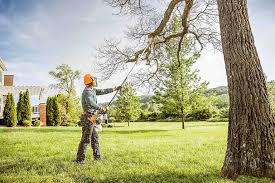 Best Tree Health Inspection  in Spring Lake Heights, NJ